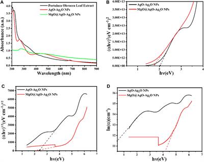 Green synthesis of multifunctional MgO@AgO/Ag2O nanocomposite for photocatalytic degradation of methylene blue and toluidine blue